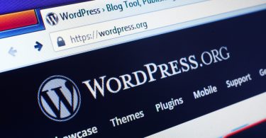 Top plugin Wordpress